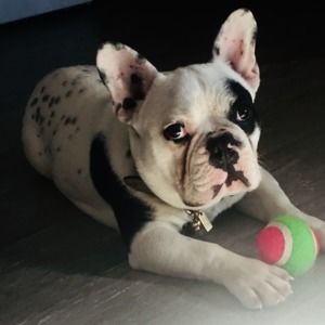 Meet your Posher, Rachael